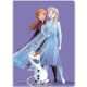 Disney Frozen Purple polar blanket 100x140cm