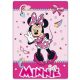 Disney Minnie funny polar blanket 100x140cm