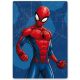 Spiderman Web polar blanket 100x140cm