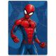 Spiderman Web polar blanket 100x140cm