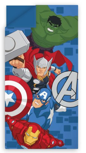 Avengers Fight sleeping bag