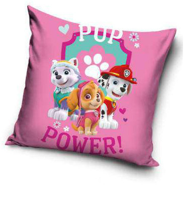 Paw Patrol Pup Power pillowcase 40x40 cm Velour