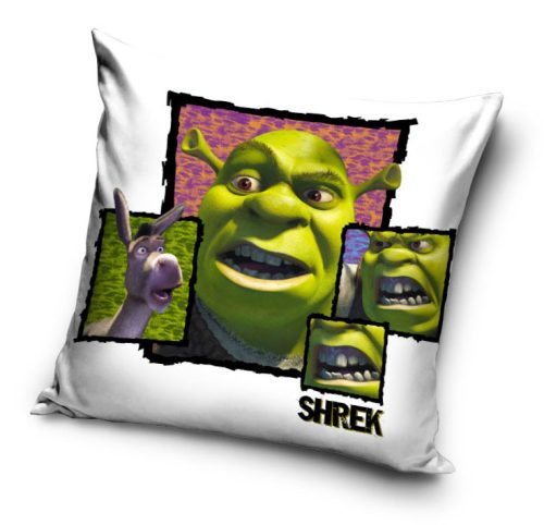 Shrek pillowcase 40x40 cm Velour