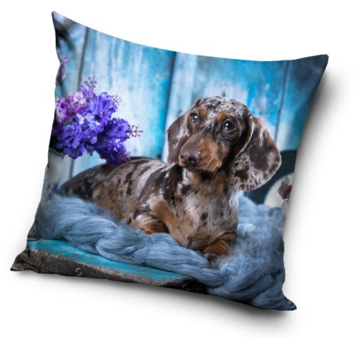 Dog pillowcase 40x40 cm