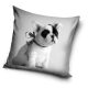Dog pillowcase 40x40 cm