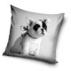 Dog pillowcase 40x40 cm