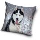 Dog pillowcase 40*40 cm