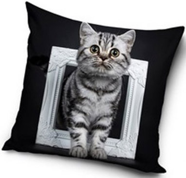 The Cat Pillowcase 40*40 cm