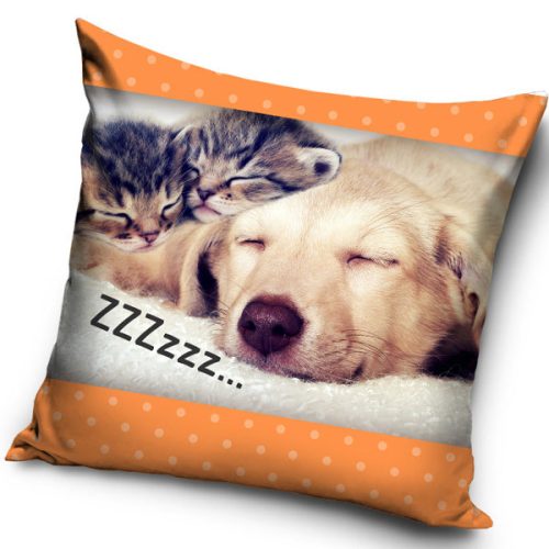 Cat, Dog ZZZ pillowcase 40x40 cm