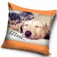 Cat, Dog <mg-auto=3002074>ZZZ pillowcase 40x40 cm