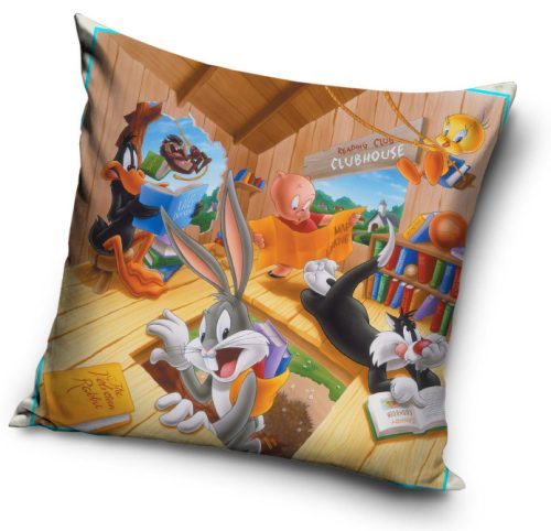 The Looney Tunes pillowcase 40*40 cm