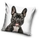 Dog pillowcase 40*40 cm