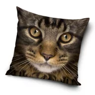 Cat pillowcase 40*40 cm