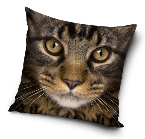 Cat pillowcase 40*40 cm