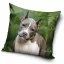 Dog pillowcase 40*40 cm