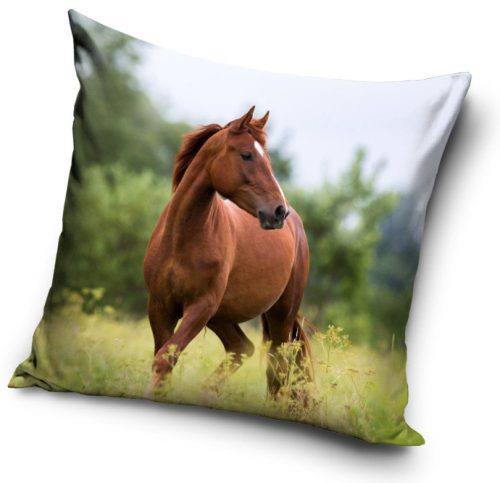 Horses Freedom cushion cover 40x40 cm Velour