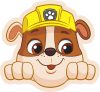 Paw Patrol Rubble decorative pillow 40x37 cm Velour