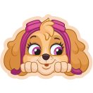 Paw Patrol Skye decorative pillow 40 cm Velour