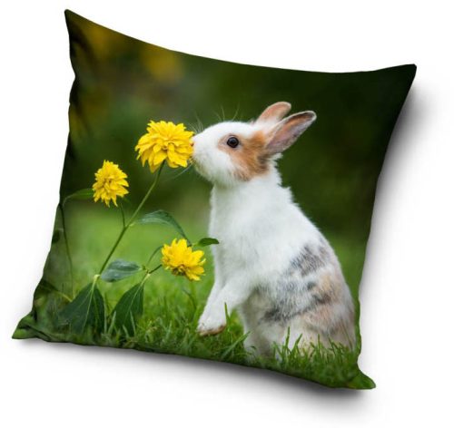 Rabbit pillowcase 40*40 cm