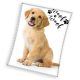 Dog Golden Retriever fleece blanket 150x200cm