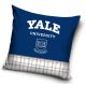 Yale pillowcase 40x40 cm