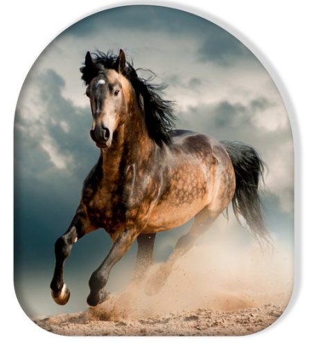 Horses Wild Stallion decorative pillow 37x33 cm