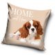 Dog pillowcase 40*40 cm