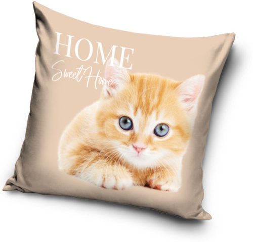 Cat pillowcase 40*40 cm