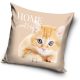 Cat pillowcase 40*40 cm