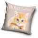 Cat pillowcase 40*40 cm