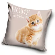 Cat Home cushion cover 40x40 cm Velour