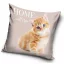 Cat Home cushion cover 40x40 cm Velour