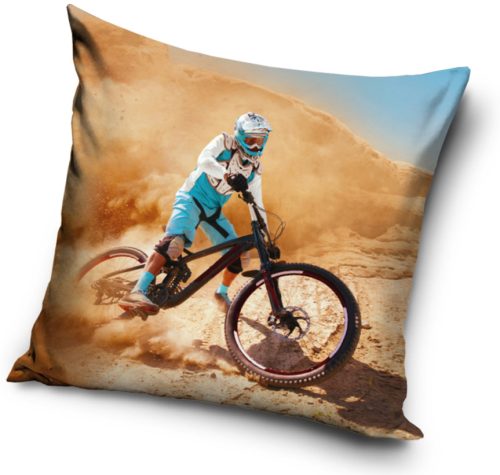 Bicycle pillowcase 40*40 cm