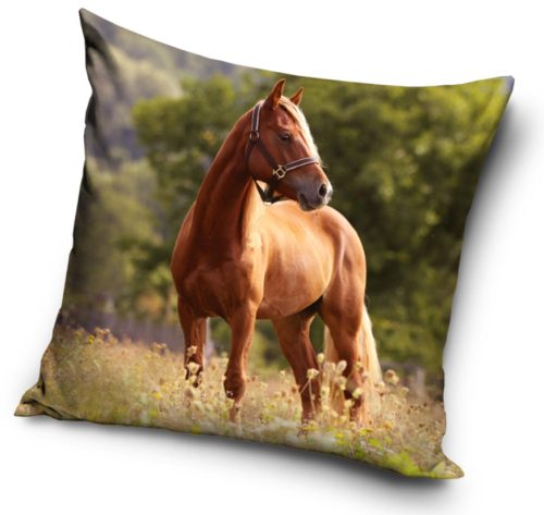 Horses pillowcase 40*40 cm