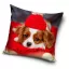 Dog pillow cover 40*40 cm