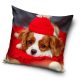 Dog pillowcase 40*40 cm