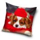 Dog pillowcase 40*40 cm