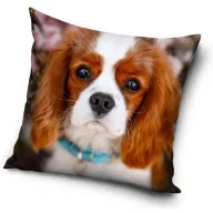 Dog pillowcase 40*40 cm