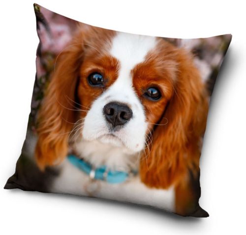 Dog pillowcase 40*40 cm