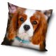 Dog pillowcase 40*40 cm