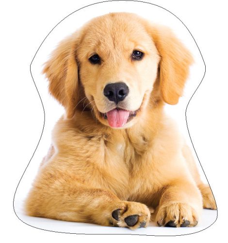 Dog Golden Retriver decorative pillow 35x35 cm