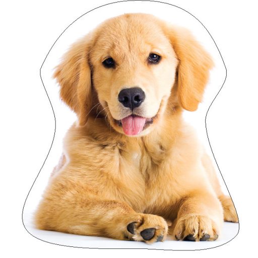 Dog Golden Retriver decorative pillow 35x35 cm