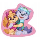 Paw Patrol Skye&Everest decorative pillow 38x39 cm