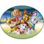 Paw Patrol Team decorative pillow 40x29 cm