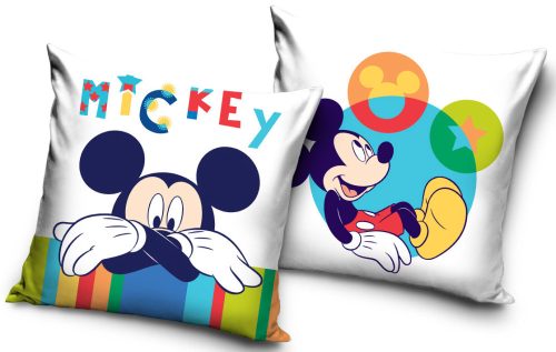 Pillowcase Pillows Disney, Decorative Pillow Case Disney