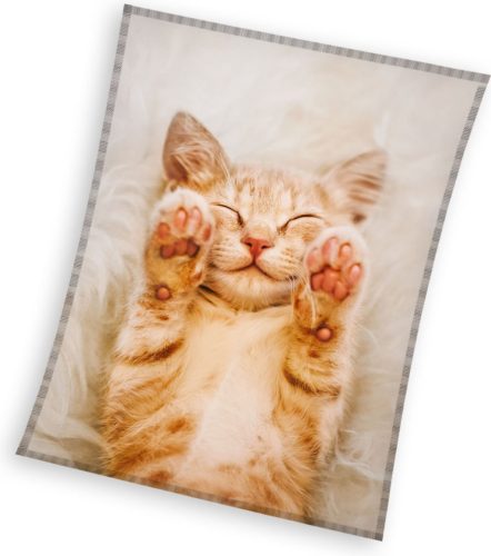 Cat Fluffydream coral fleece blanket 130x170cm
