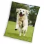 Dog Happytail Retriever coral fleece polar blanket 150x200cm