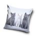 Cat Trio decorative pillow cover 40x40 cm Velvet