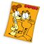 Garfield Lazy Days coral fleece blanket 150x200cm