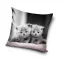 Cat Twins decorative pillow cover 40x40 cm Velvet